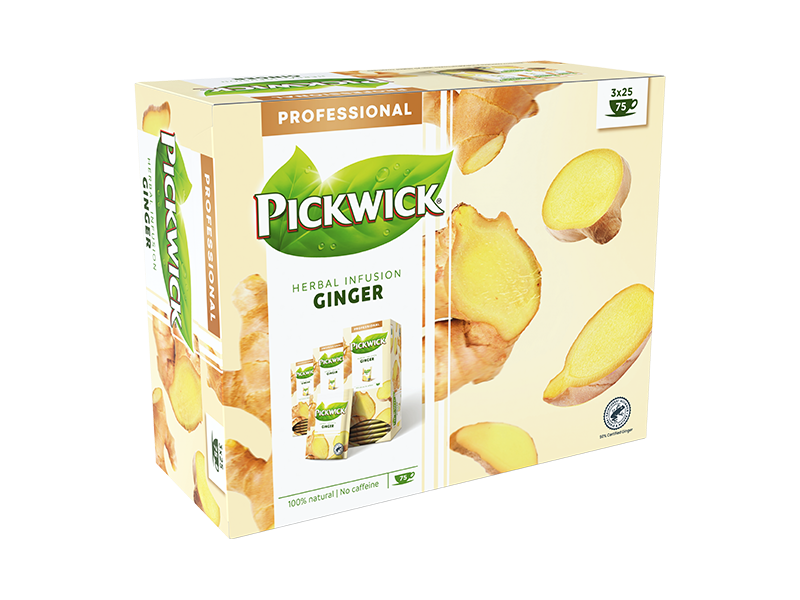 PW Professional Ginger PDP 1 - 4059761