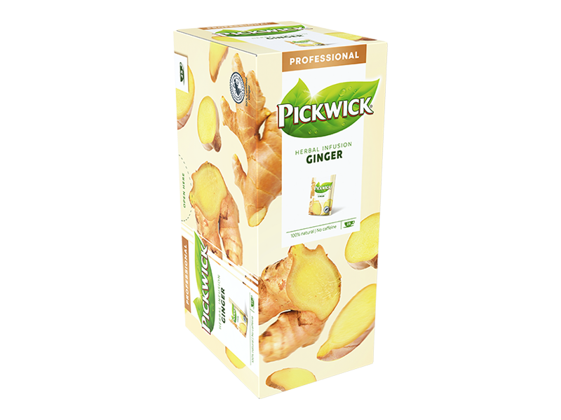 PW Professional Ginger PDP 2 - 4059761