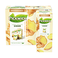 Pickwick Professional Ginger